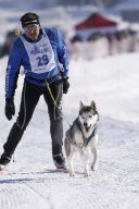 Lenk 2013